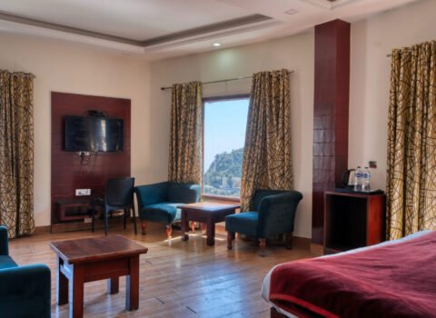 four_bed_family_room_hill-view_2